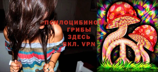 а пвп мука Алзамай