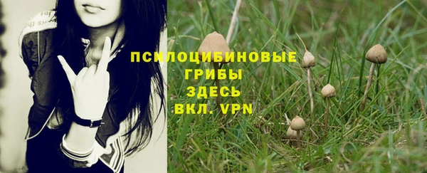 а пвп мука Алзамай