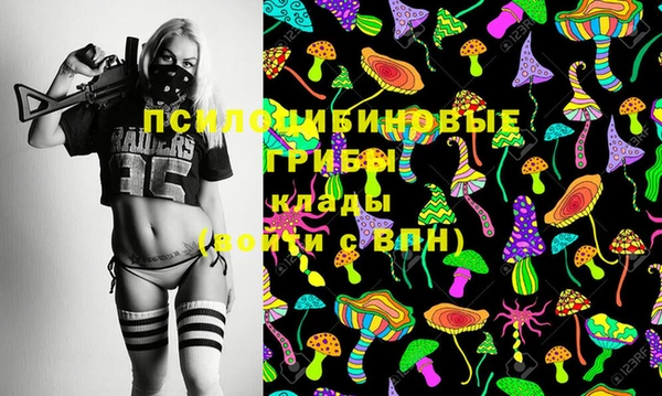 спайс Алексин