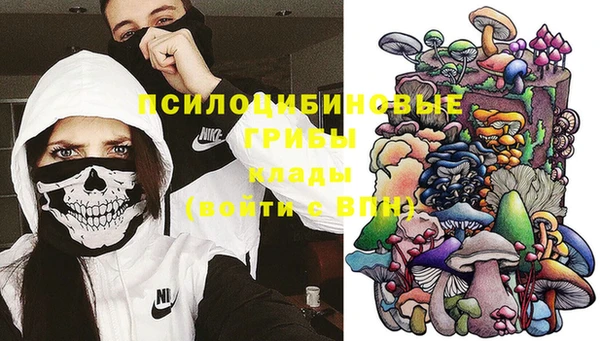 спайс Алексин